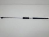 Amortiguador/puntal del capó/tapa delantero