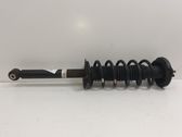 Rear shock absorber with coil spring