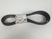 Alternator belt