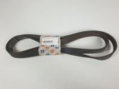 Alternator belt