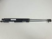 Tailgate/trunk strut/damper