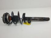 Front shock absorber/damper