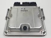 Unidad de control/módulo del motor