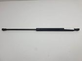Front bonnet/hood damper/strut
