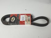 Alternator belt