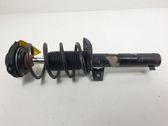 Front shock absorber/damper