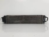 Radiador intercooler