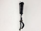 Front shock absorber/damper