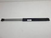 Tailgate/trunk strut/damper