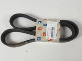 Alternator belt