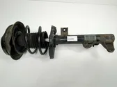 Front shock absorber/damper