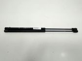 Tailgate/trunk strut/damper
