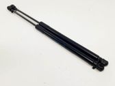 Tailgate/trunk strut/damper