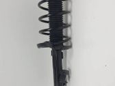 Front shock absorber/damper