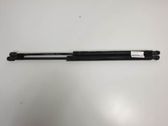 Tailgate/trunk strut/damper