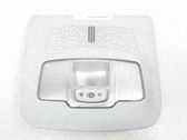 Luz del asiento delantero