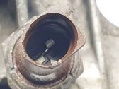 Radiador del aceite del motor