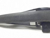 Manecilla externa puerta delantera