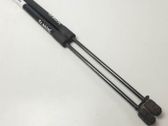 Tailgate/trunk strut/damper