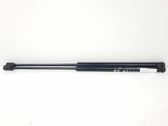 Front bonnet/hood damper/strut