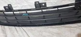 Front bumper lower grill