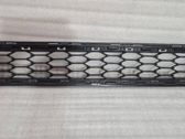 Front bumper lower grill