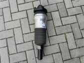 Front shock absorber/damper