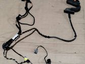 Front door wiring loom