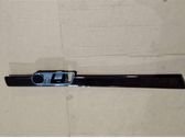 Other rear door trim element