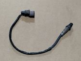Sonde lambda