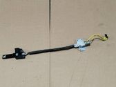 Seat belt adjustment motor
