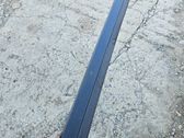 Rear door trim (molding)