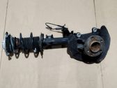 Front shock absorber with coil spring