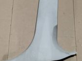 (B) pillar trim (bottom)