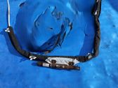 Roof airbag