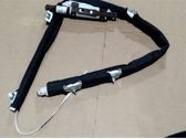 Roof airbag
