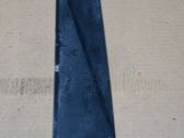 Rear door glass trim molding