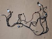 Other wiring loom