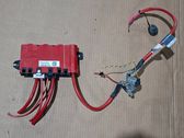 Positive wiring loom
