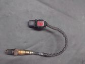 Sonde lambda