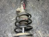 Front shock absorber with coil spring