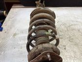 Front shock absorber with coil spring