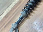 Front shock absorber/damper