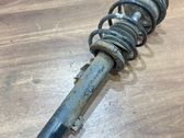 Front shock absorber with coil spring