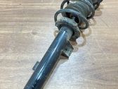 Front shock absorber with coil spring