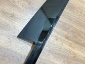 Rear door glass trim molding