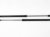 Tailgate/trunk strut/damper