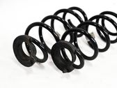 Rear coil spring