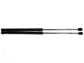 Tailgate/trunk strut/damper