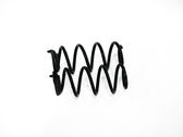 Rear coil spring